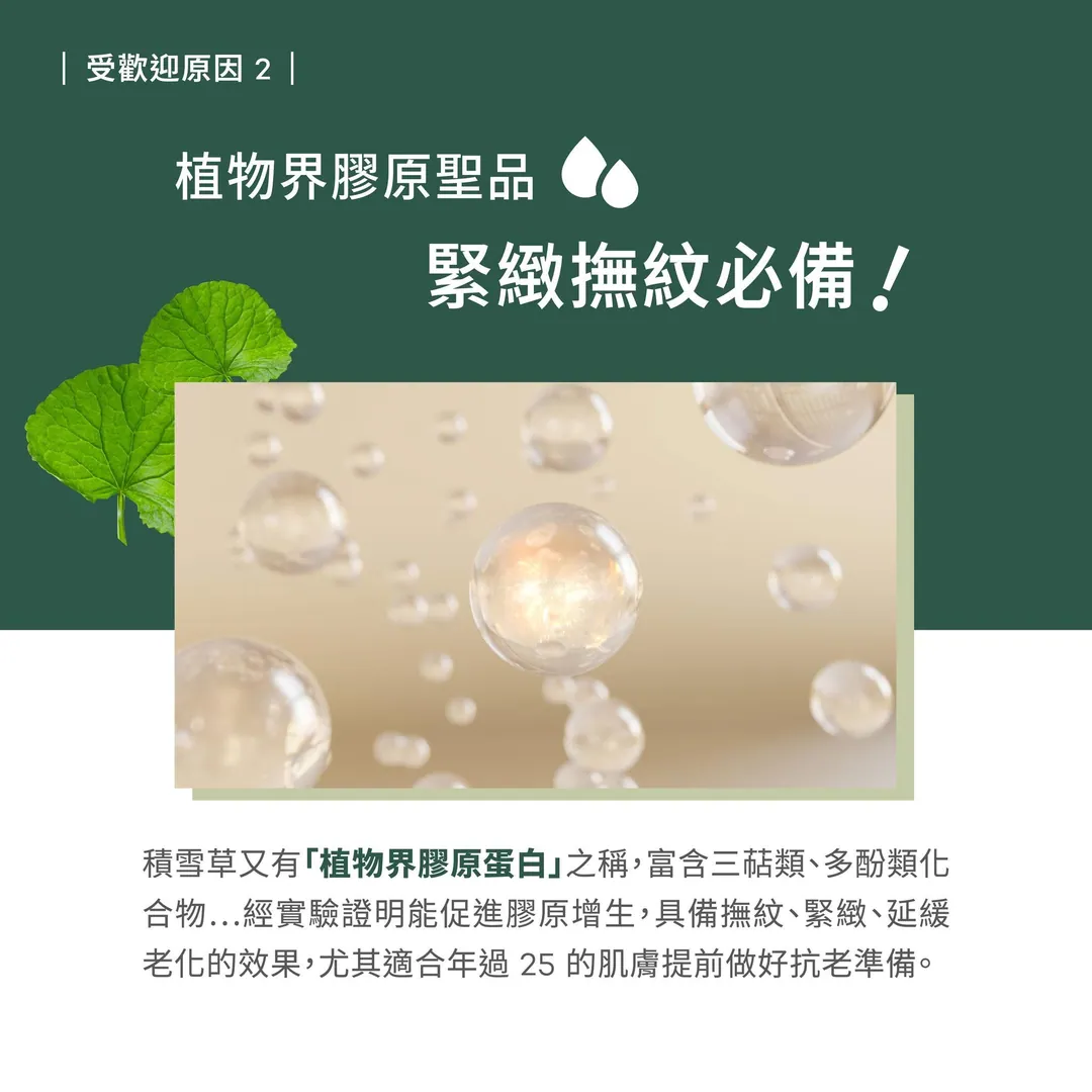 為什麼積雪草這麼常見 第 4 張