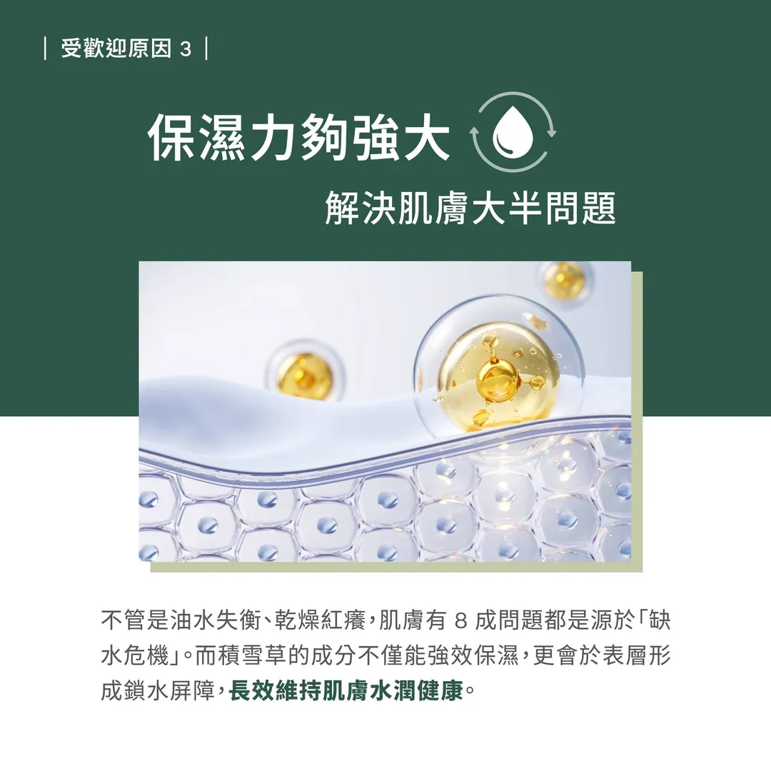 為什麼積雪草這麼常見 第 5 張