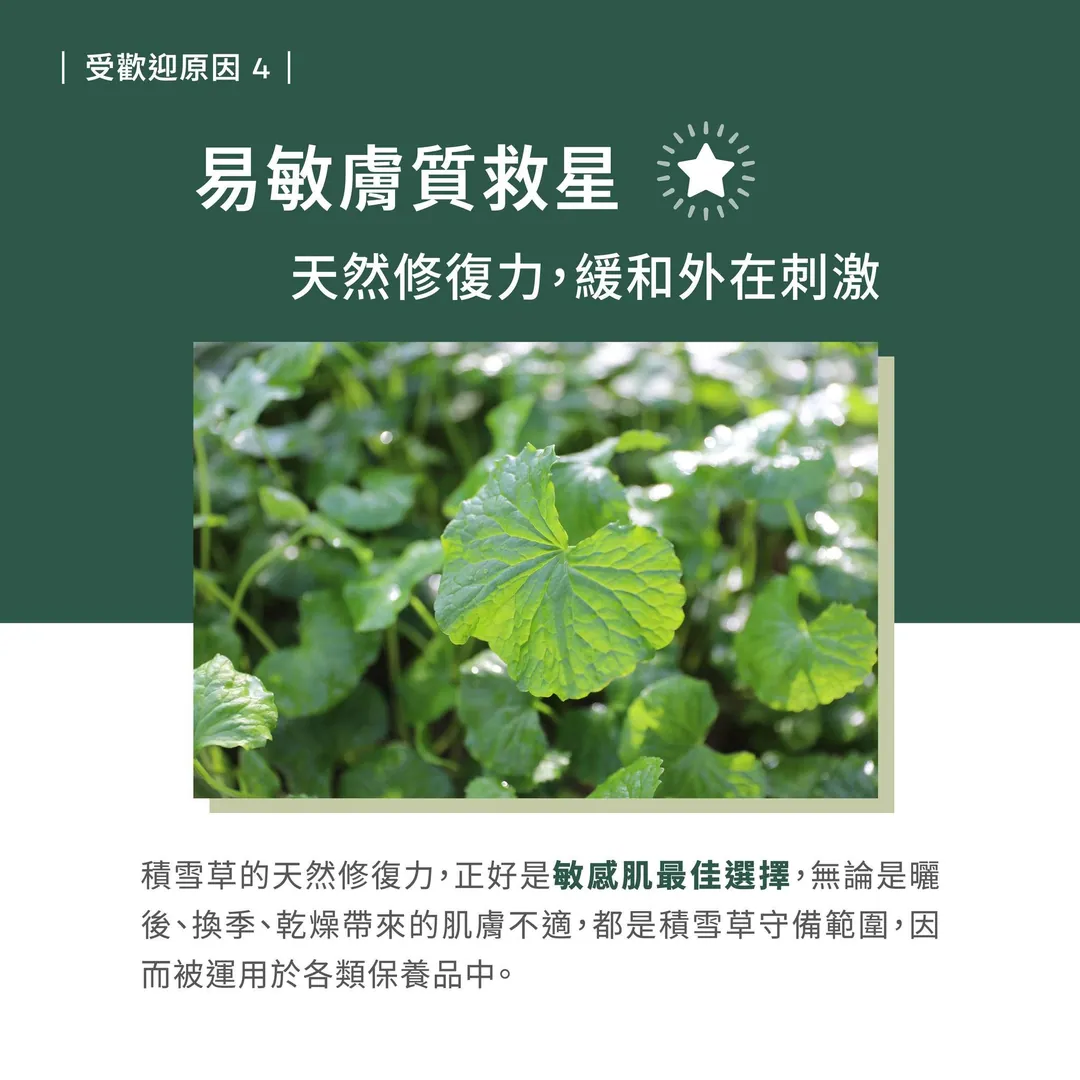 為什麼積雪草這麼常見 第 6 張