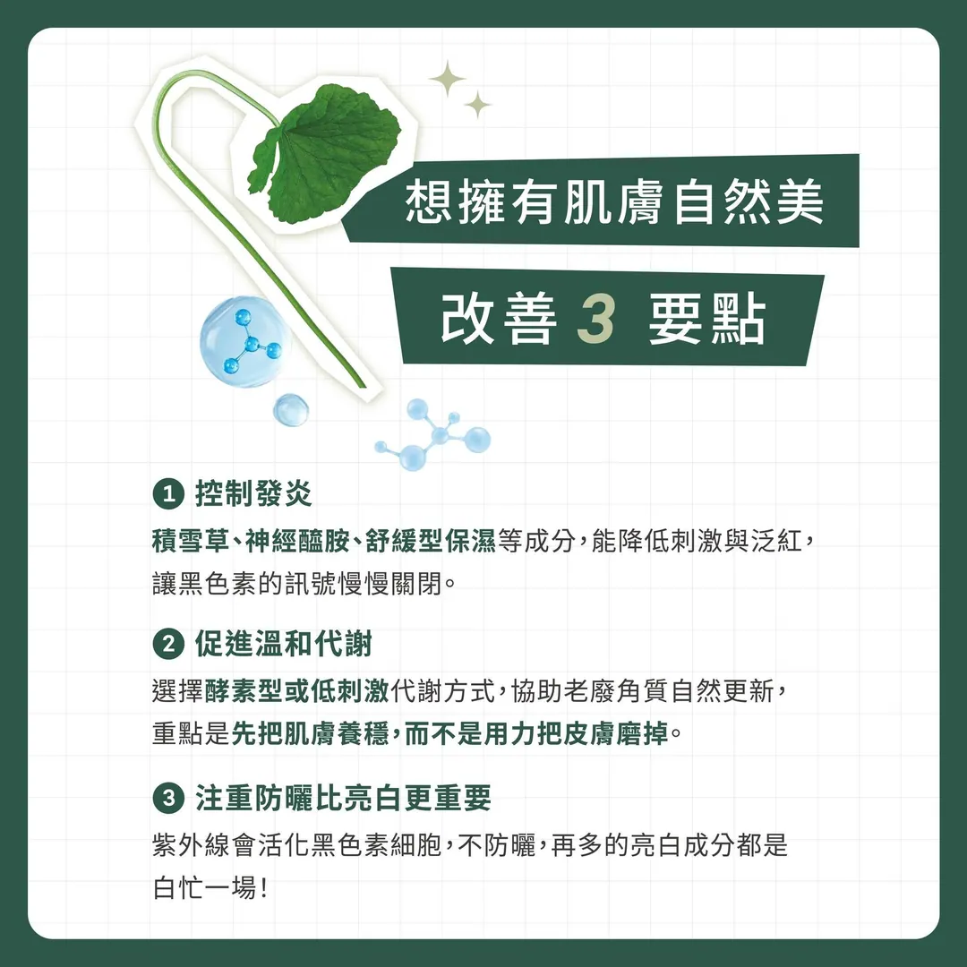 快速了解肌膚黑色素沉澱 第 4 張