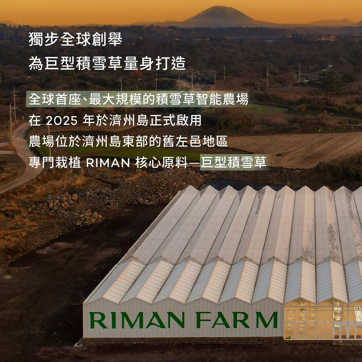 RIMAN FARM 濟州智能農場 第 1 張