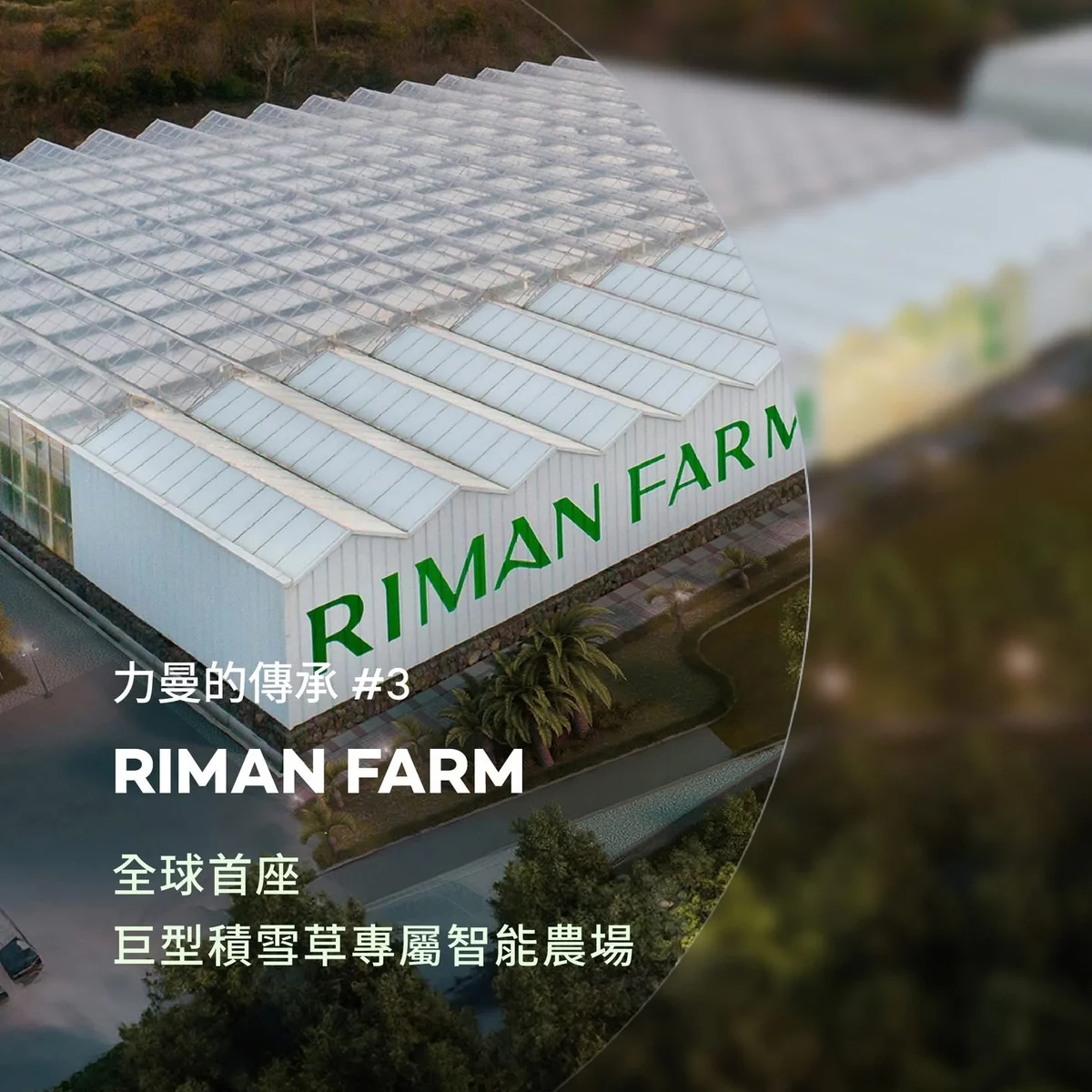 RIMAN FARM 濟州智能農場 第 2 張
