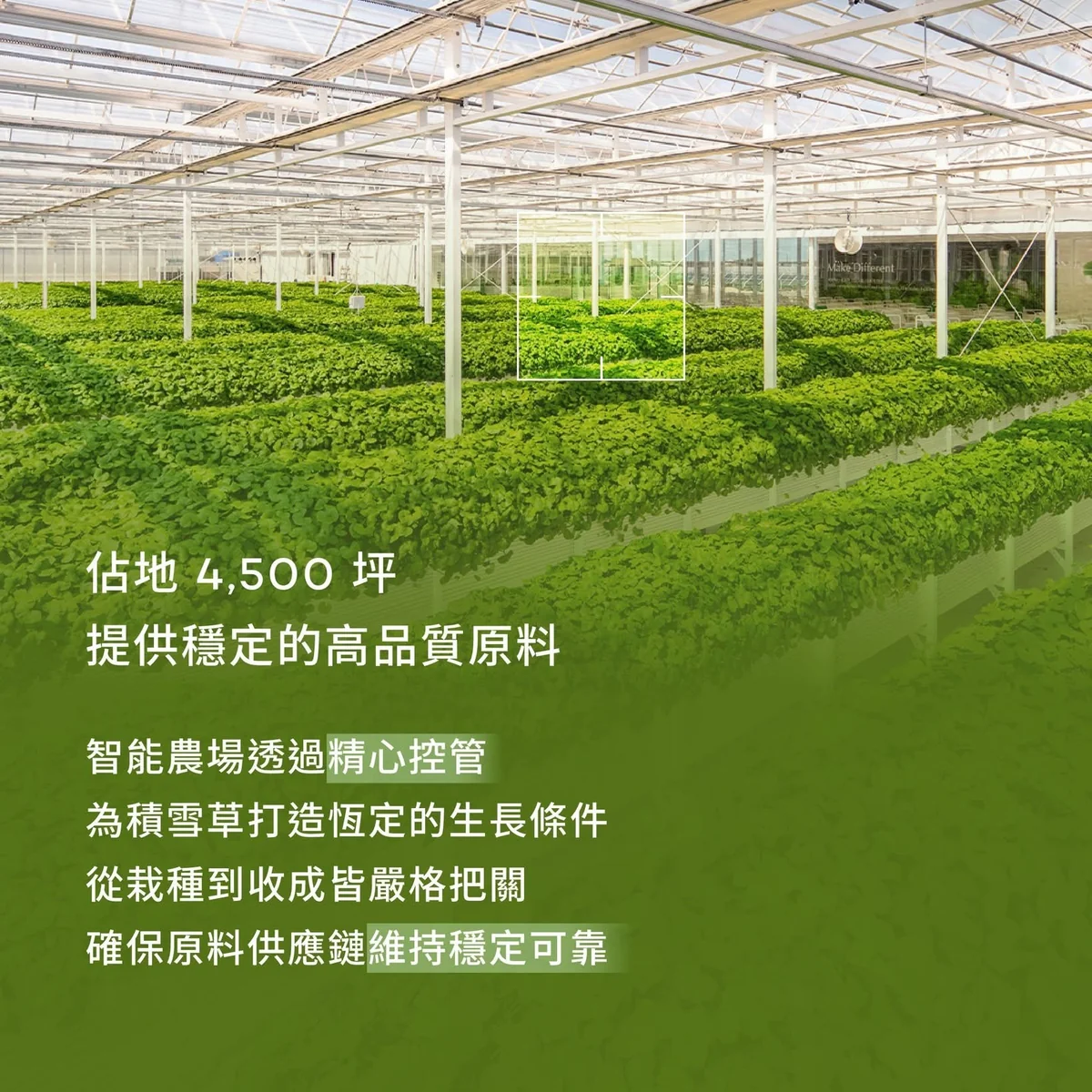 RIMAN FARM 濟州智能農場 第 3 張