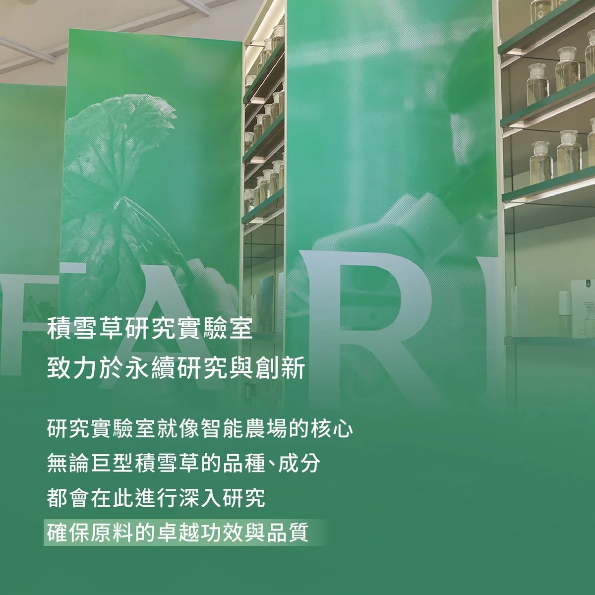 RIMAN FARM 濟州智能農場 第 7 張