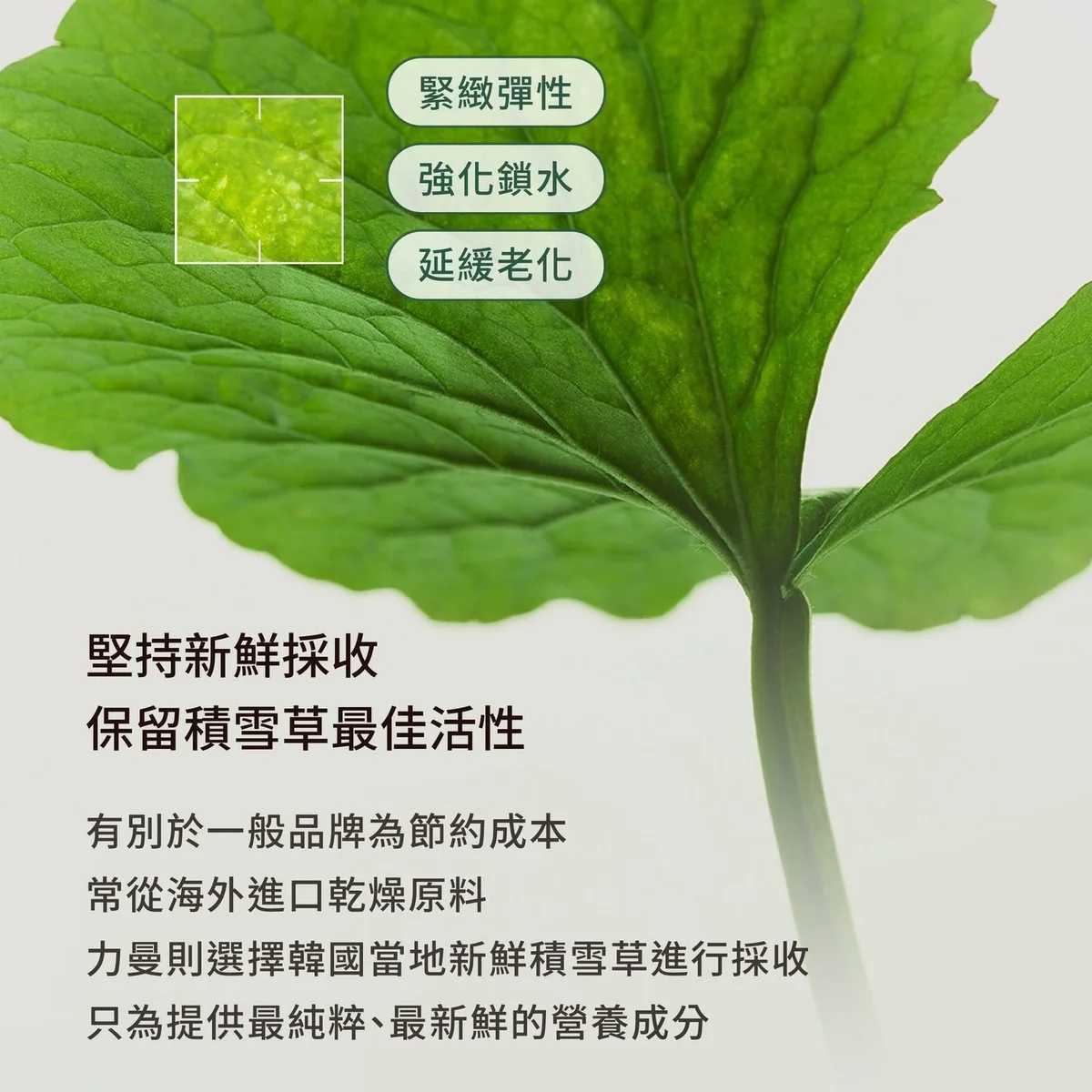 實測數據看得見 第 5 張